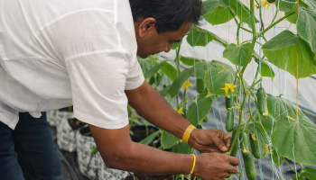 ChatGPT Image Feb 3, 2026, 02_21_09 PM